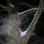 zimski duh na platani_576x768